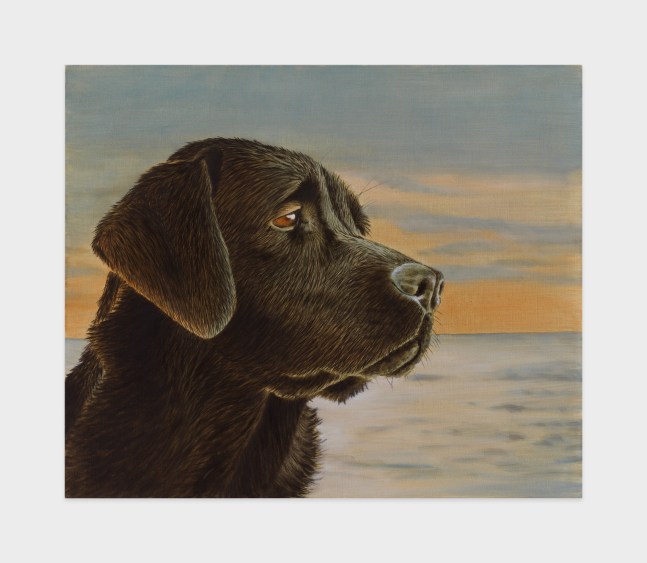 Sean Landers

Black Lab

2022

Oil on linen

33 x 39 inches

83.8 x 99.1 cm