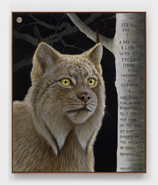 Sean Landers

Joys and Fears

2025

Oil on linen

49 x 41 inches

124.5 x 104.1 cm

(LS 25/012)