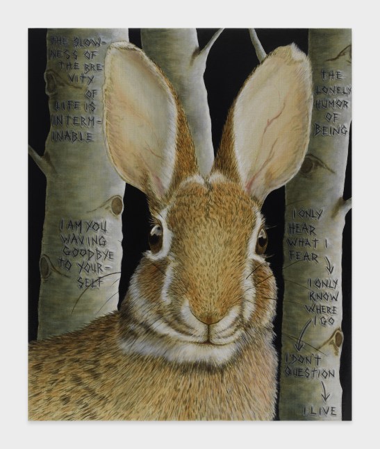 Sean Landers

I Live

2023

Oil on linen

34 x 28 inches

86.4 x 71.1 cm

(LS 23/008)