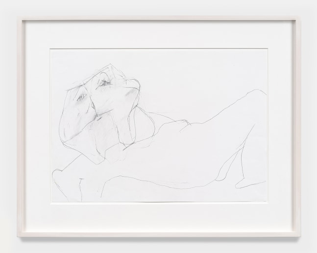 Maria Lassnig

Untitled

ca. 2008

Pencil on paper

24.75 x 31.6 inches

62.8 x 80.3 x 4 cm

(ML 24/030)