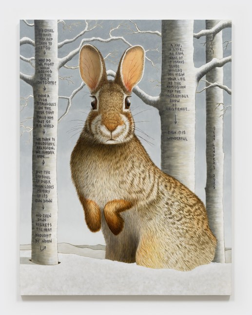 Sean Landers

Price of Admission

2025

Oil on linen

60 x 46 in

152.4 x 116.8 cm

(LS 25/024)