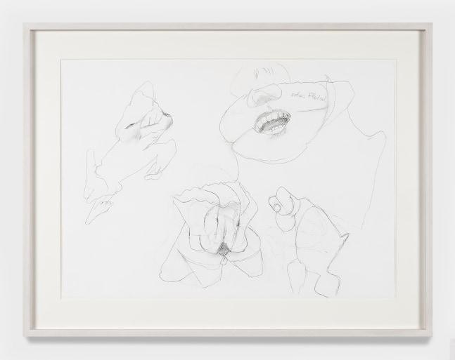 Maria Lassnig

Untitled

ca. 2000-2009

Pencil on paper

26 x 33.9 inches

66.1 x 86.1 cm

(ML 24/028)
