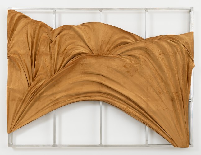 Nikita Gale

SCENE 2

2024

Aluminum, velvet

72.5 x 97.25 inches

184.2 x 247 cm

(NG 24/007)