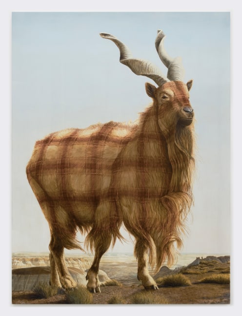 Sean Landers

Painted Desert (Markhor)

2015

Oil on linen

86 x 64 inches

218.4 x 162.6 cm

(LS 15/019)