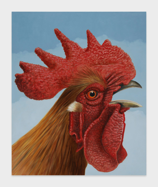 Sean Landers

Red Rooster

2022

Oil on canvas

36 x 30 inches

91.4 x 76.2 cm

(LS 22/005)