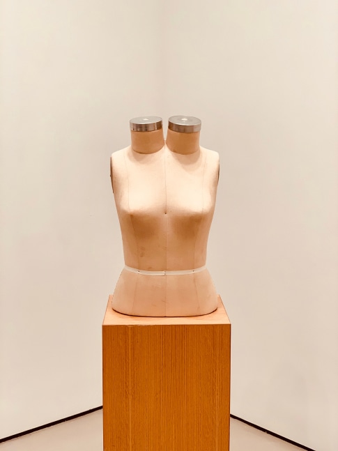 ANNETTE LEMIEUX

Torso After Trockel

1991

Brassiere form and wood pedestal, ed. of three

23 1/8 by 13 by 10 5/8 in.&amp;nbsp; 58.7 by 33 by 27 cm.

(MI&amp;amp;N 15375)