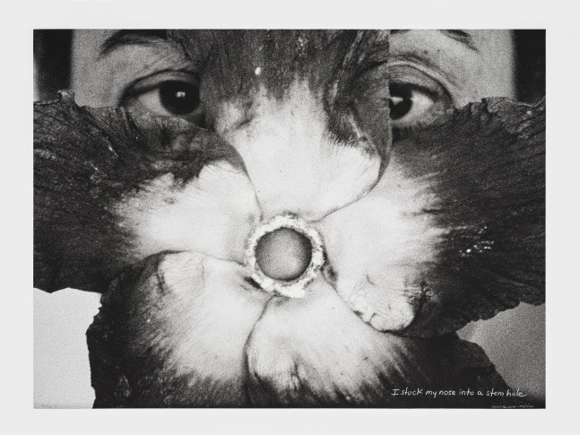 I stuck My Nose Into A Stem Hole, c.1994

inkjet print on rag paper, ed of 5 + 2 AP

30 x 40 in. (76.2 x 101.6 cm)