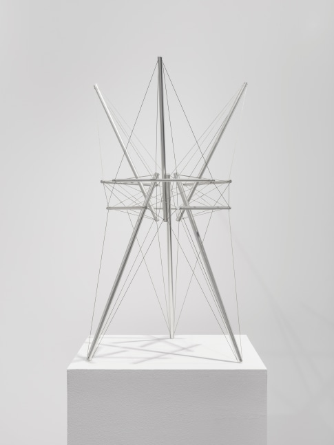 Tall Star, 1979

aluminum and stainless-steel cable, edition of 6

27 3/4 x 19 1/2 x 18 in. / 70.5 x 49.5 x 45.7 cm