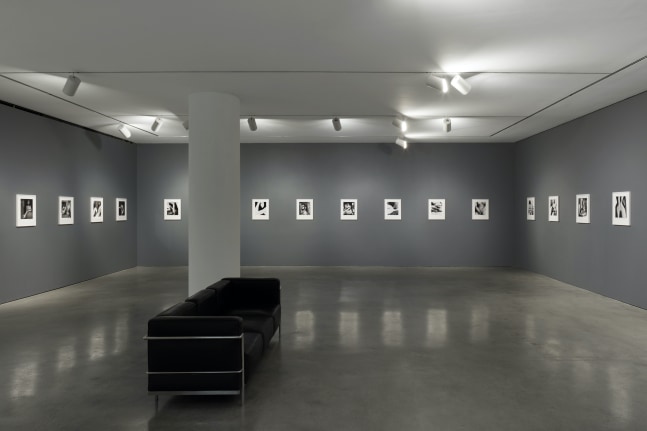 Installation View. Photo: Pierre Le Hors.