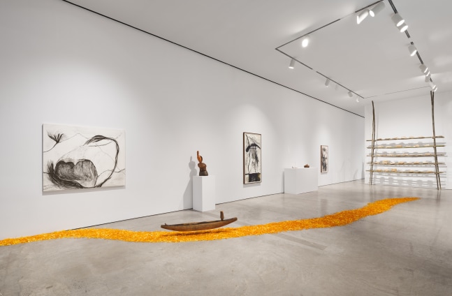 Installation view of &quot;Laura Anderson Barbata: Singing Leaf&quot; showcasing a small wooden canoe on a river of marigolds.