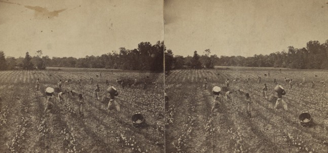 Enslaved people picking cotton near Montgomery, Alabama, 1860&amp;rsquo;s (Courtesy Library of Congress)