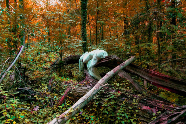 Sarah Ahmad
From the series &amp;#39;Bol&amp;#39; (5)
2014 - 2020
Photography
​36 x 48&amp;nbsp;in.