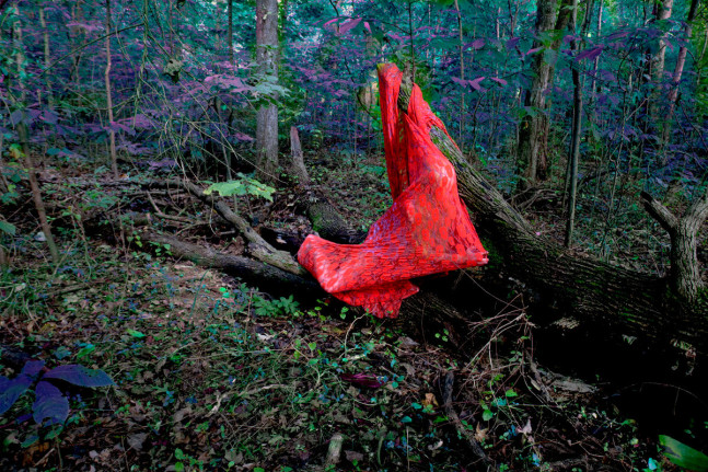 Sarah Ahmad
From the series &amp;#39;Bol&amp;#39; (4)
2014 - 2020
Photography
​36 x 48&amp;nbsp;in.