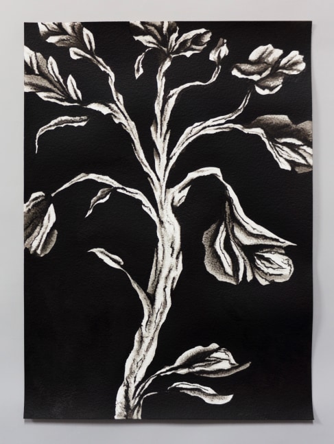 ink drawing of an embroidery study