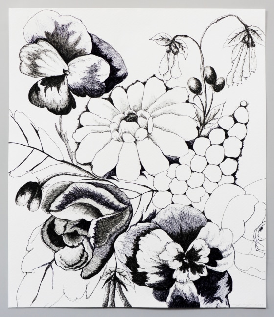 pen on paper floral drawing
