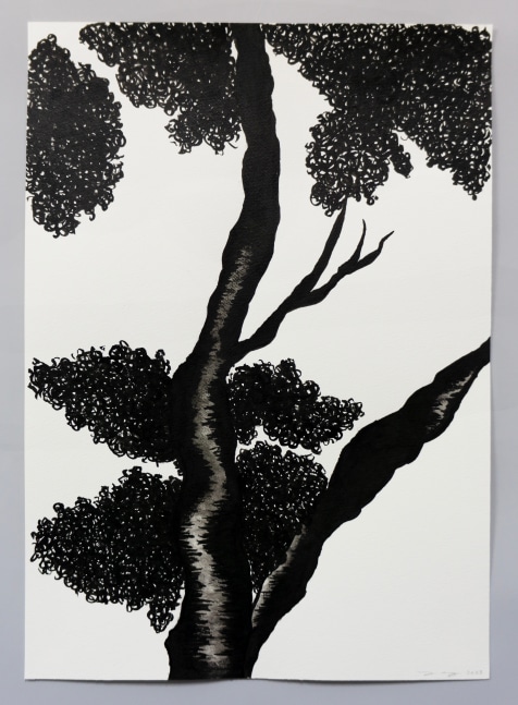 Ink drawing of an embroidery study