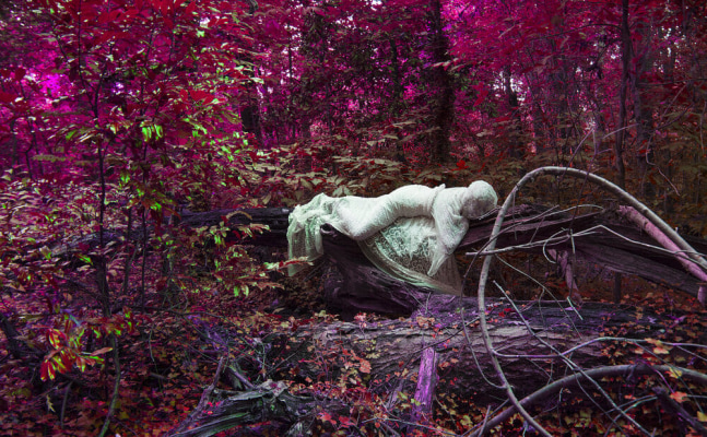 Sarah Ahmad
From the series &amp;#39;Bol&amp;#39; (7)
2014 - 2020
Photography
​36 x 48&amp;nbsp;in.