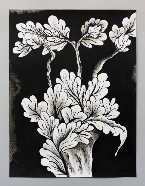 pen and ink drawing of an embroidery study