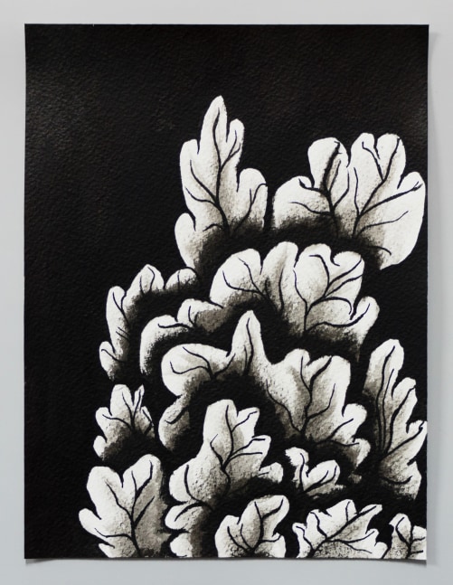 Ink drawing of an embroidery study