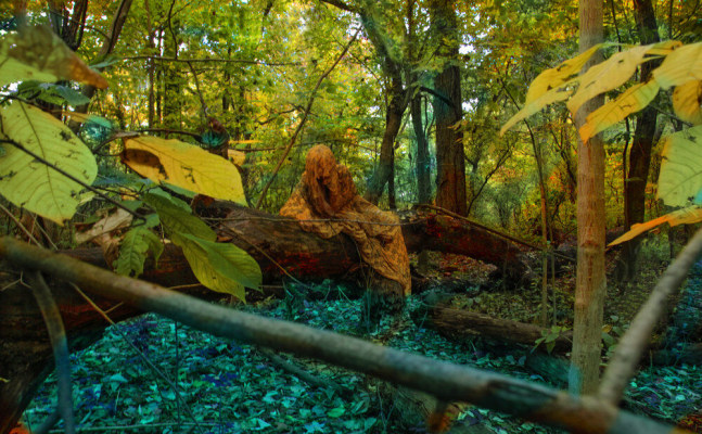 Sarah Ahmad
From the series &amp;#39;Bol&amp;#39; (13)
2014 - 2020
Photography
​36 x 48&amp;nbsp;in.