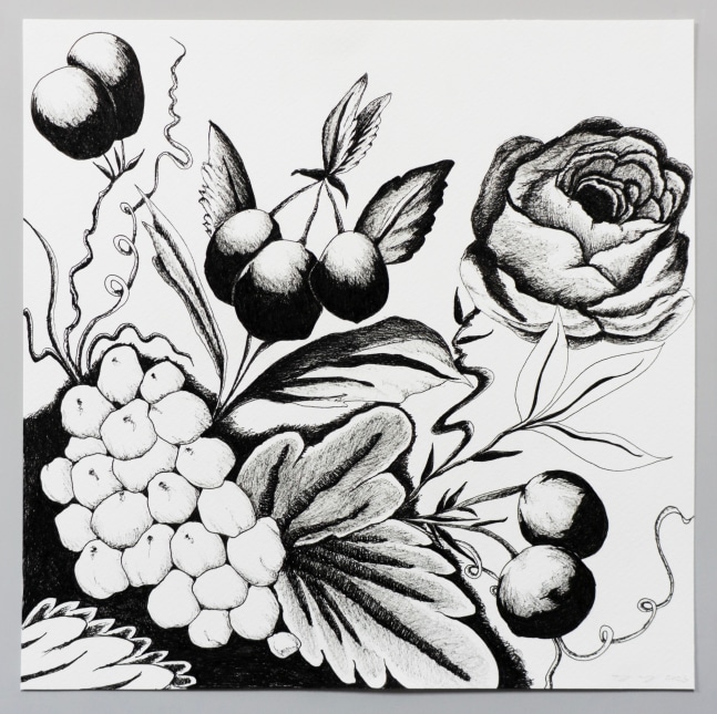 pen on paper floral drawing