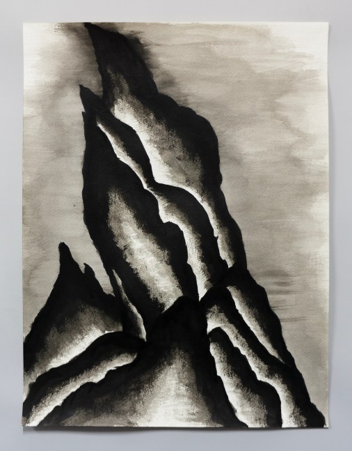 Ink drawing of an embroidery study