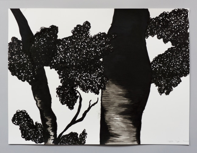 Ink drawing of an embroidery study