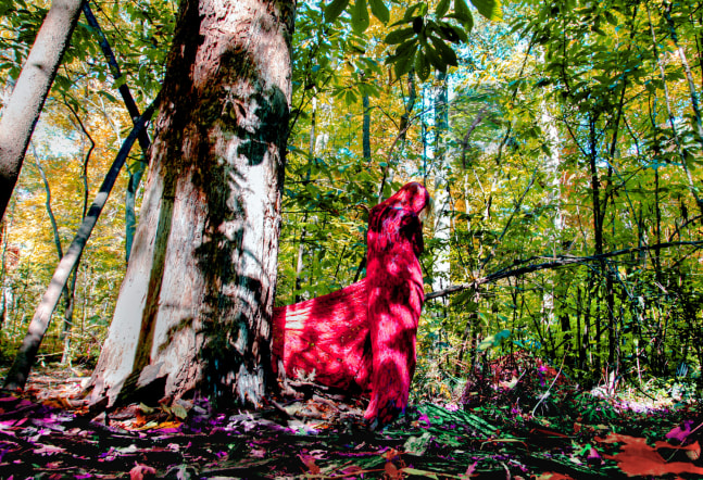 Sarah Ahmad
From the series &amp;#39;Bol&amp;#39; (11)
2014 - 2020
Photography
​36 x 48&amp;nbsp;in.