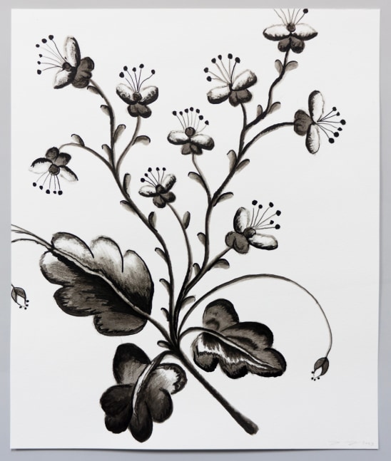 Pen drawing of embroidery study