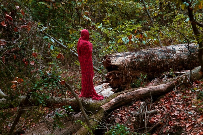 Sarah Ahmad
From the series &amp;#39;Bol&amp;#39; (2)
2014 - 2020
Photography
​36 x 48&amp;nbsp;in.