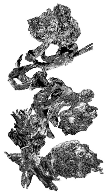 Sarah Ahmad
Fractured Cosmos V
2019
Pen and ink drawing on vellum
​36 x 63 in.