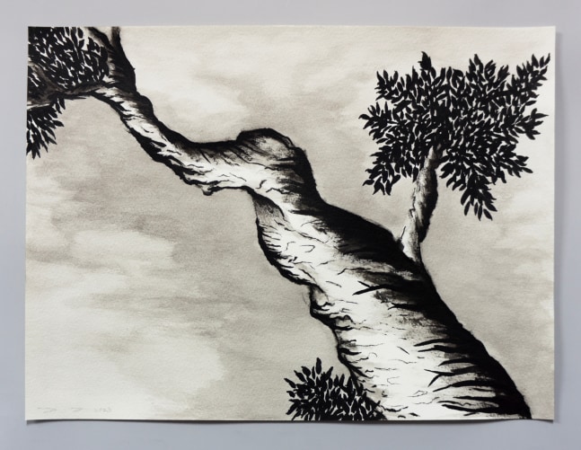 Ink drawing of an embroidery study