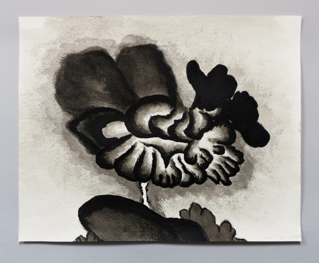 Ink drawing of an embroidery study