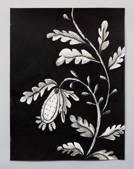 pen and ink drawing of an embroidery study