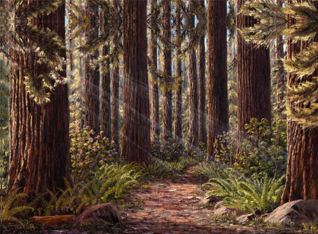 A Path Through the Redwoods,&amp;nbsp;2010
Oil on canvas
48 x 60 inches

SOLD