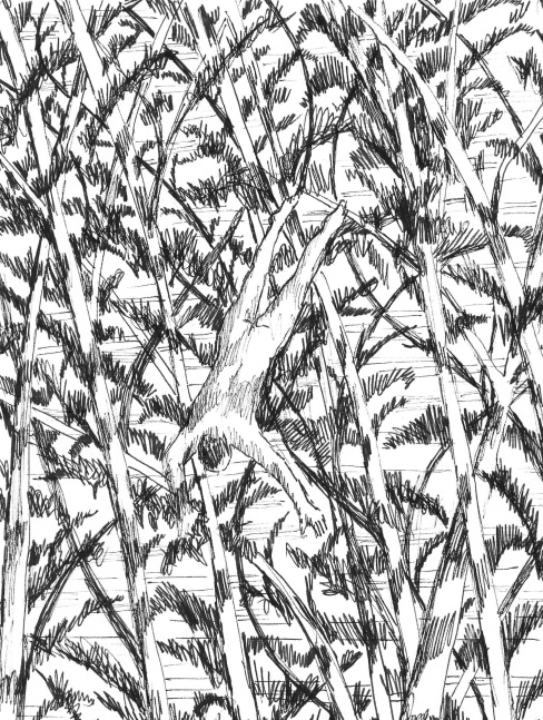 July 6, 2016

2016

sakura ink on paper

8&amp;quot; x 6&amp;quot;

ARD070616