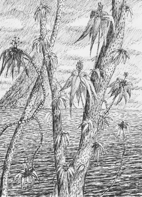 May 7, 201

&amp;nbsp;2017

sakura ink on paper

8&amp;quot; x 6&amp;quot;

ARD050717