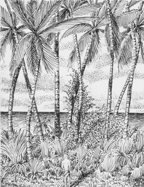 July 13, 2013

2013

sakura ink on paper

8&amp;quot; x 6&amp;quot;

ARD071313