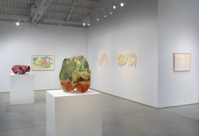 Installation view of Rosemary Mayer: Noon Has No Shadows 7