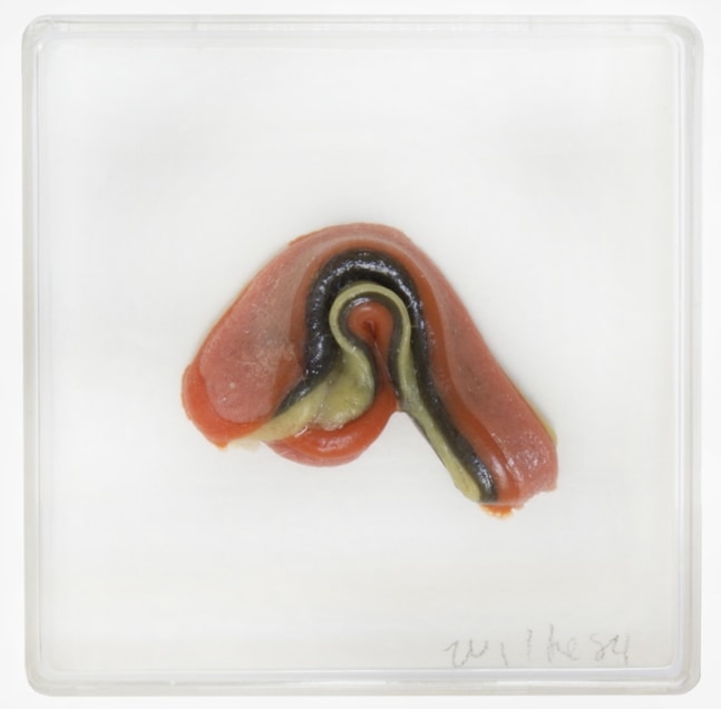 Hannah Wilke  Untitled (Single Gum Sculpture), 1984