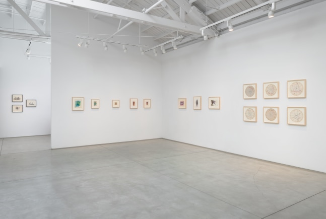 Installation view of Cameron's solo exhibition The Lion Path: Art, Astrology and Magic, 2023