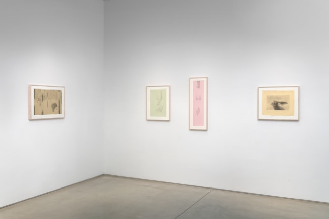 Installation view of The Hare in the Studio 2