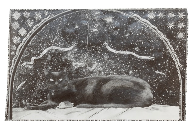 A drawing of a cat