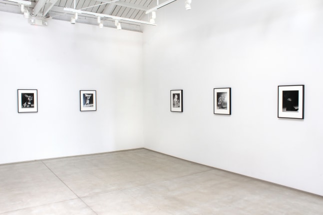 Installation view of Matt Lipps: The Body Wants to Live​​​​​​​, 2020