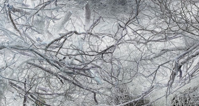 A photograph by Richard Misrach titled 'Untitled (364030#FC),' 2014