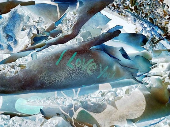 IPS #2519 (I Love You), 2011