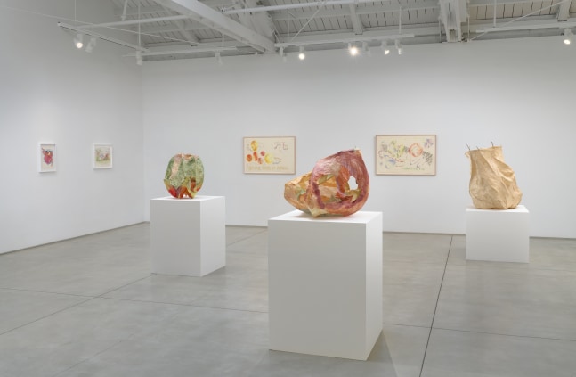 Installation view of Rosemary Mayer: Noon Has No Shadows 1