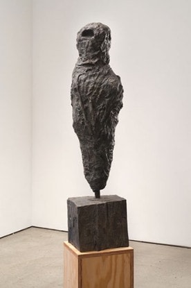 Hope Atherton  Falcon, 2013
