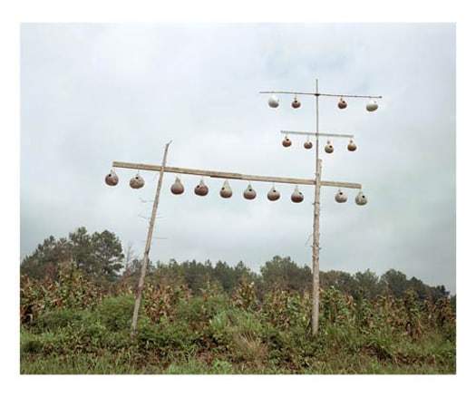 Gourd Tree, near Fayette, Alabama, 1988