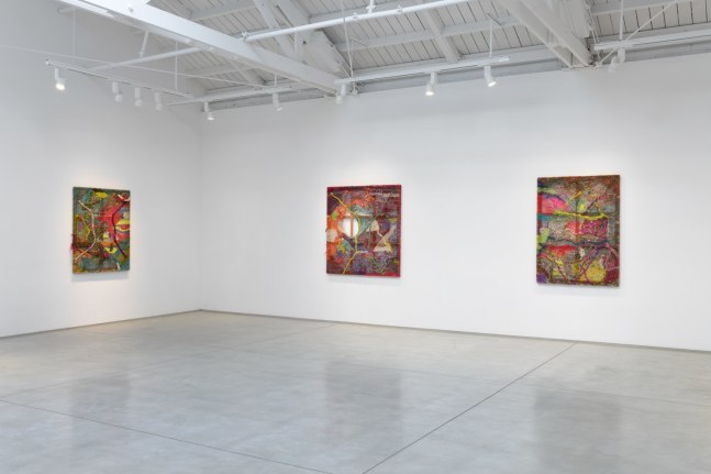 Installation image of Entanglements, 2019